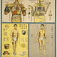 Illustration for article titled Retro Educational Posters Reimagine The Human Body As A Factory